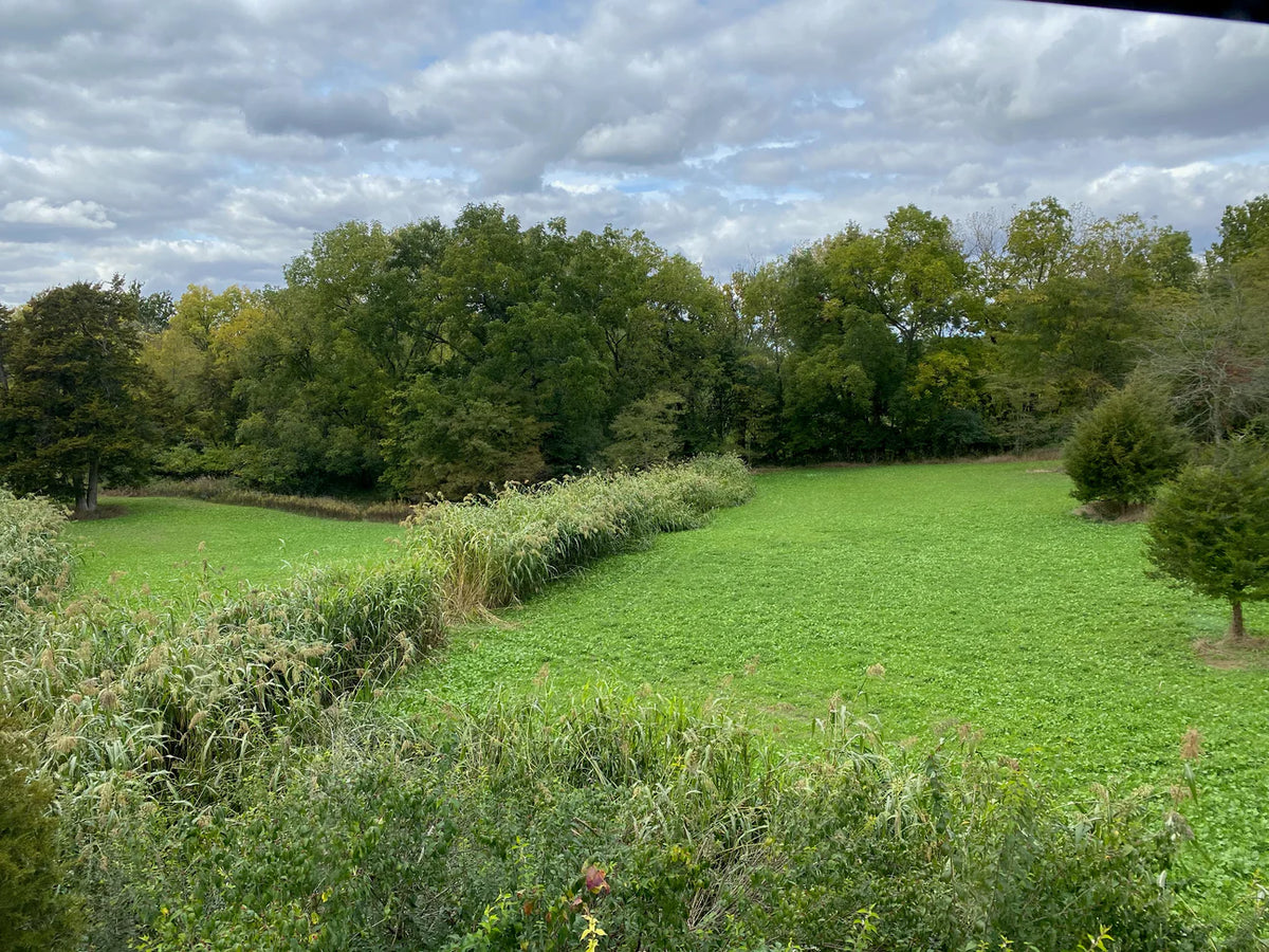 Plot Blocker Plus 2.5lb Seed Company