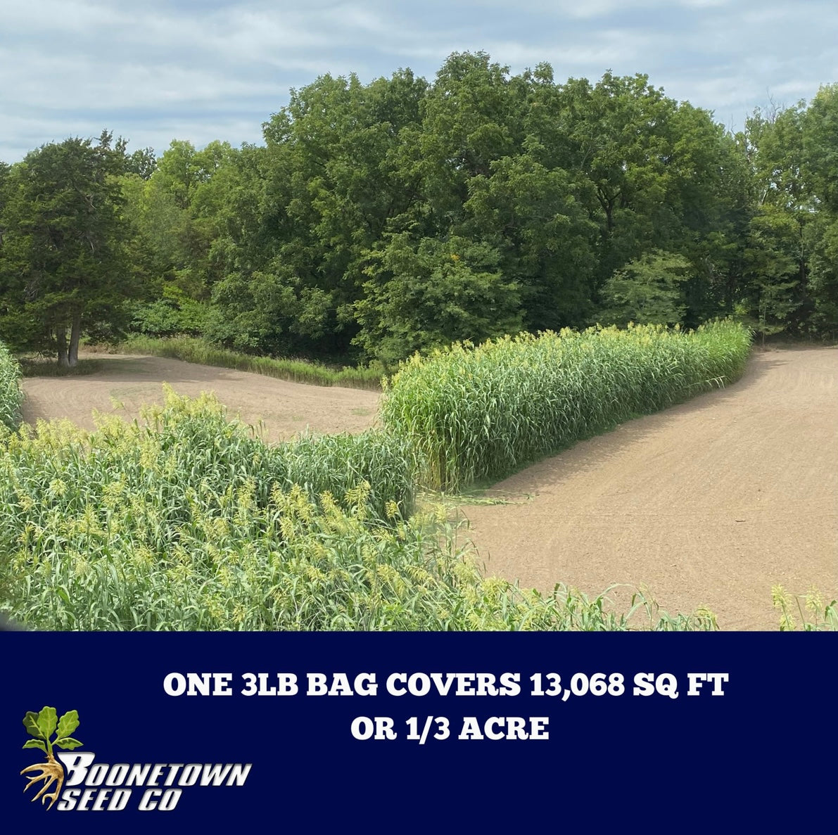 Plot Blocker Plus 2.5lb – Boonetown Seed Company