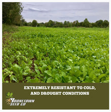 Boneyard Brassica Blend - Food Plot Seed