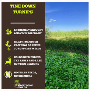 Tine Down Turnips - Food Plot Seed