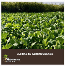 Tine Down Turnips - Food Plot Seed