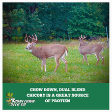 NEW!! Chow Down Chicory - Food Plot Seed