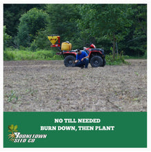 NEW!! Chow Down Chicory - Food Plot Seed