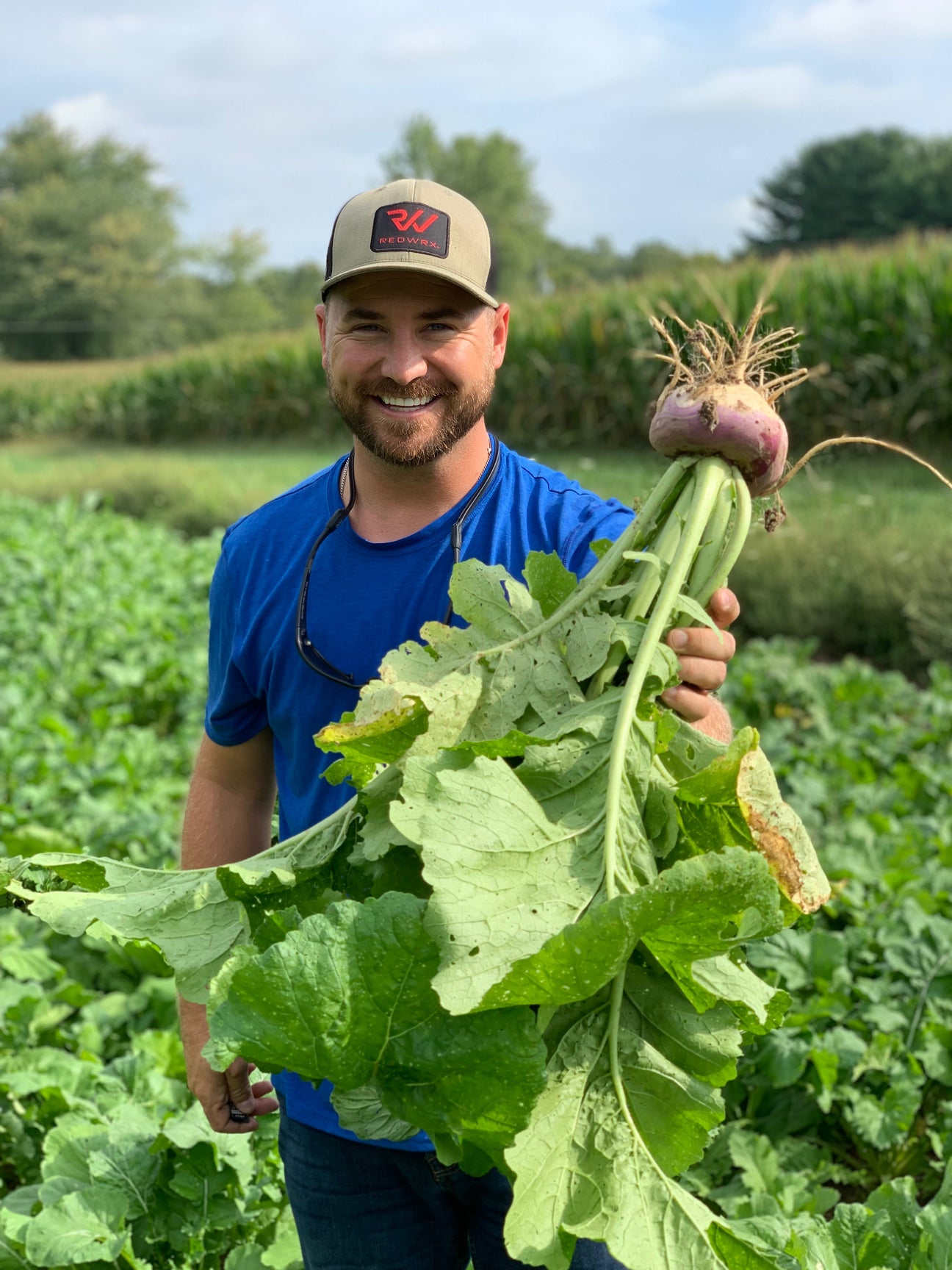 Boneyard Brassica Blend Food Plot Seed Seed Company